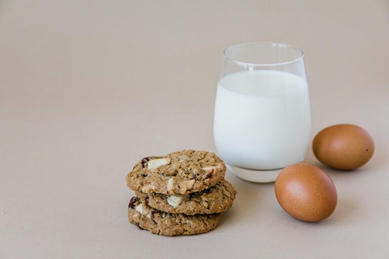 oatmeal plane dry food