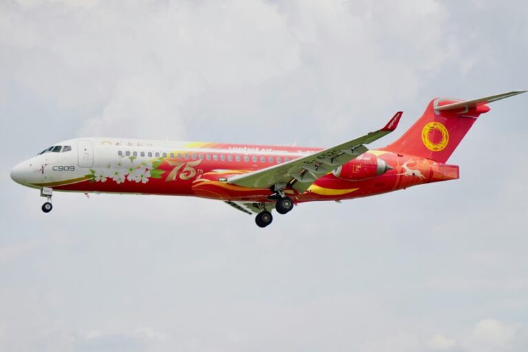 seashells plane customs rules